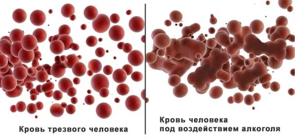 Как алкоголь влияет на кровь