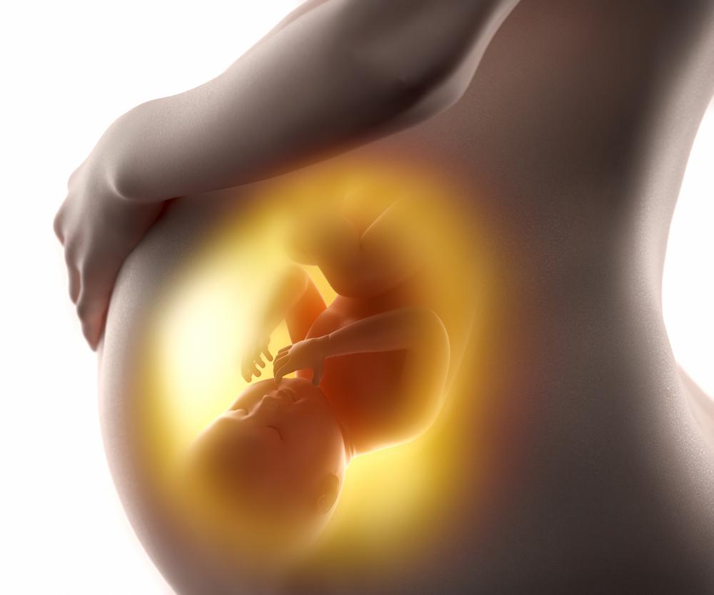 Алкоголь на ранних сроках беременности: можно ли пить в первые недели и месяцы